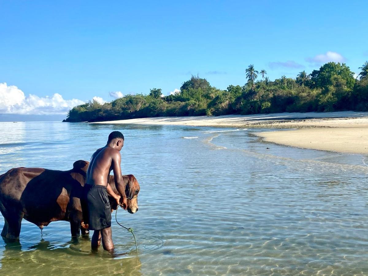 Kingstone Lodge Zanzibar Bet-el-Mali Luaran gambar